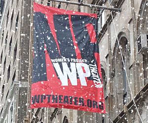 Holiday-Image-2015---WP-Flag-and-Snow